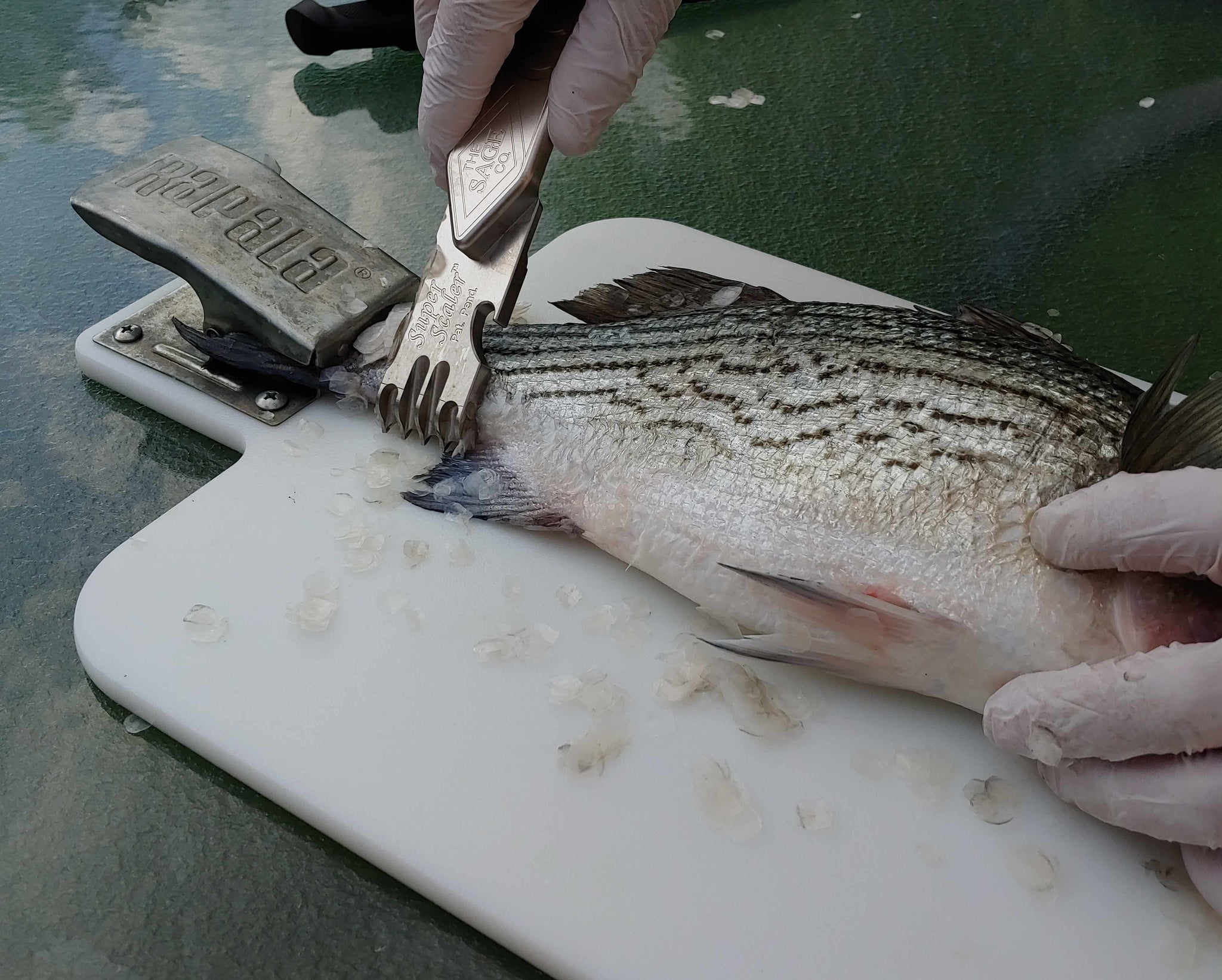 Super Scaler - Commercial Grade Fish Scaler / Faster Fish Cleaning Too ...